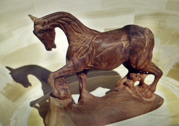 Horse in Wood
